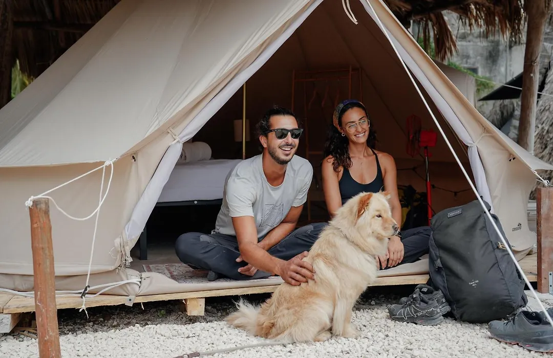 Mapache Hostel&Camping-1