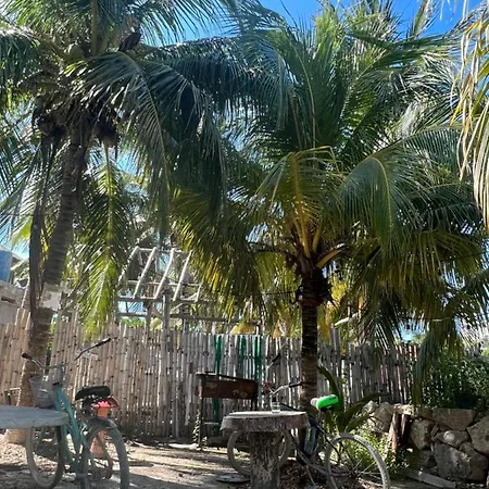 Hostal Mexico-2